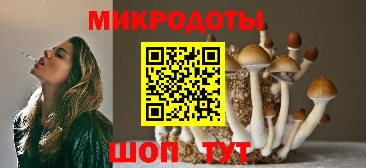 Галлюциногенные грибы ЛСД Луга
