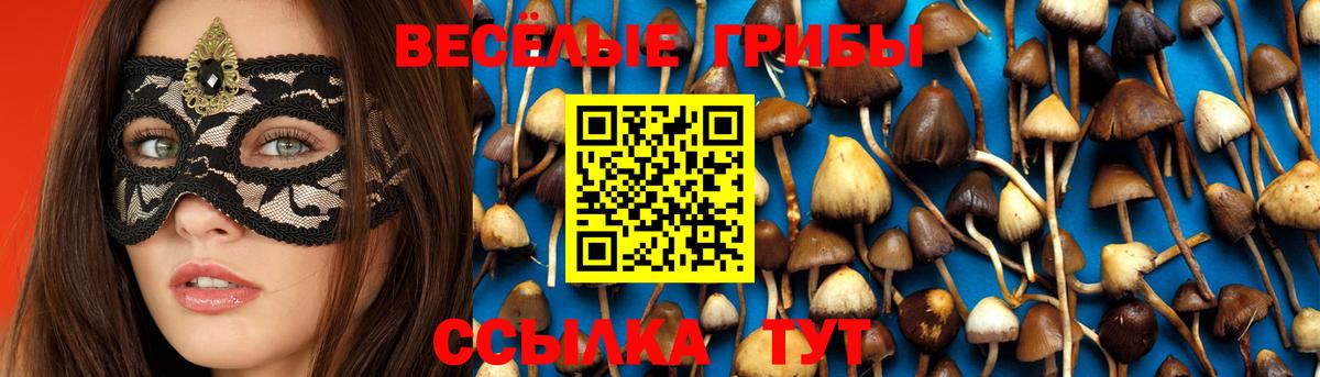 закладка  Вход с VPN  Луга  Галлюциногенные грибы прущие грибы 