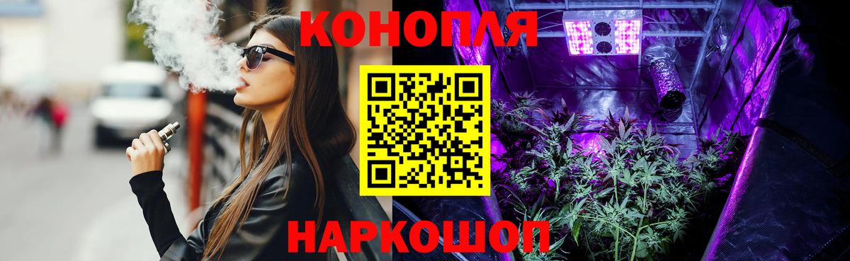 Бошки Шишки MAZAR  Вход с VPN  Бошки марихуана Bruce Banner  Луга  Бошки марихуана планчик  Конопля семена 