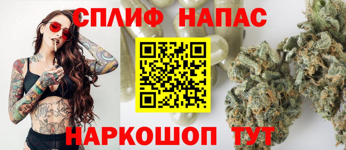 Марихуана сатива Луга
